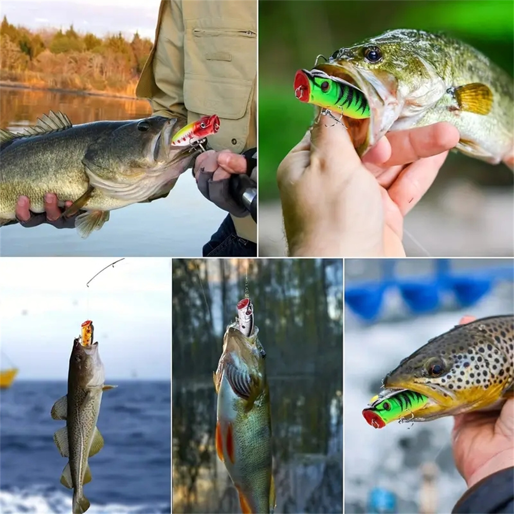 5Pcs Popper Fishing Lures 3d E - đánh giá và giá 3D Printing Lure